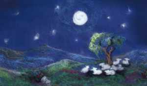 Wer hat die schönsten Schäfchen