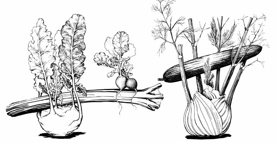 Erntegut